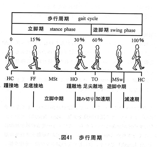 図41歩行周期