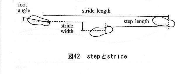 図４２ stepとstride